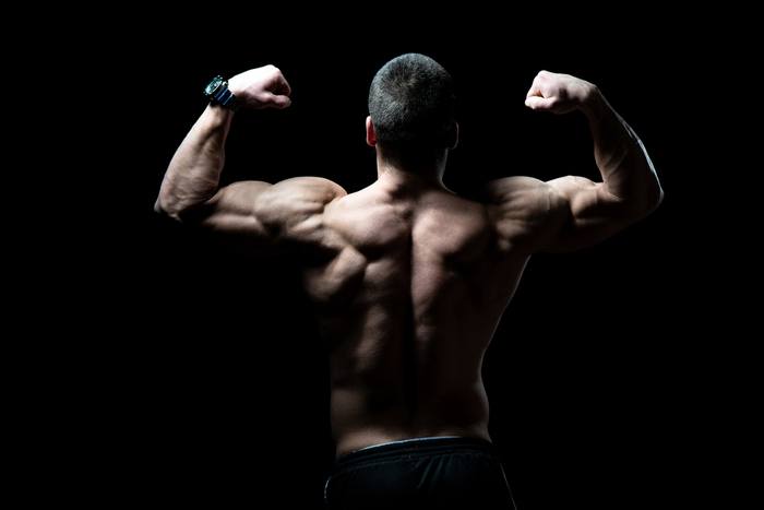 Can You Build Muscle While Intermittent Fasting?