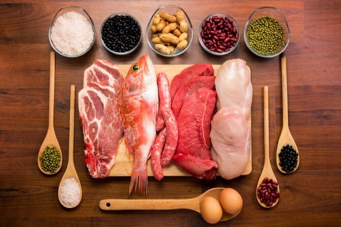 Importance-of-Protein