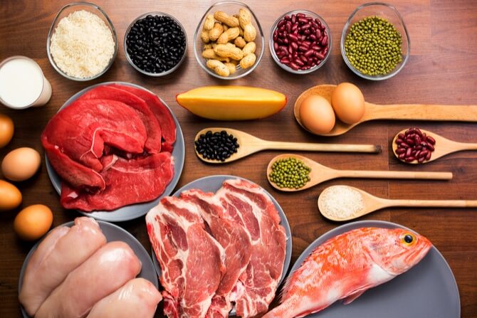 Why-is-protein-important