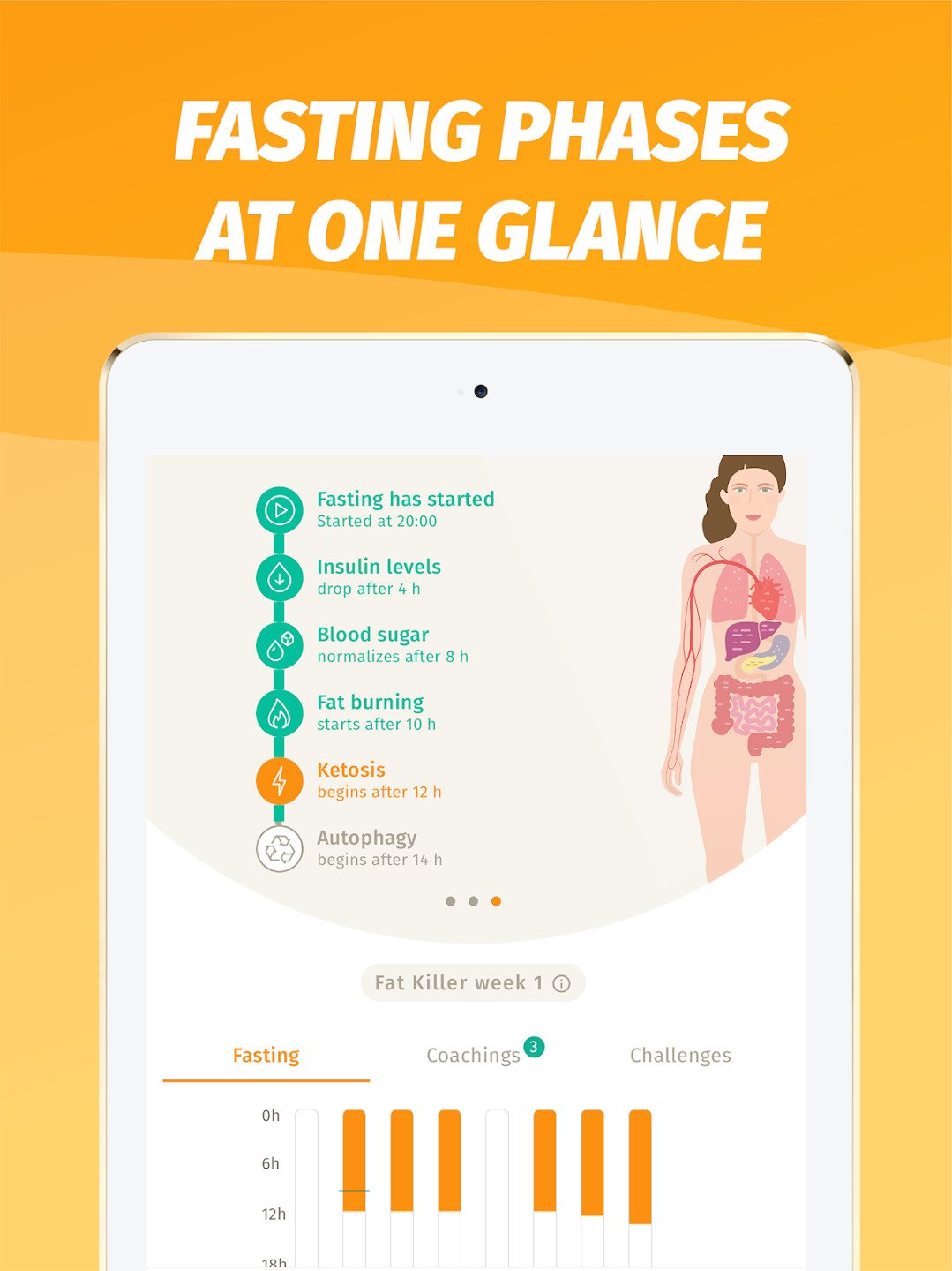 BodyFast Review 2025 How Good Safe This App Truly Is bodyfast-review-2025-how-good-safe-this-app-truly-is